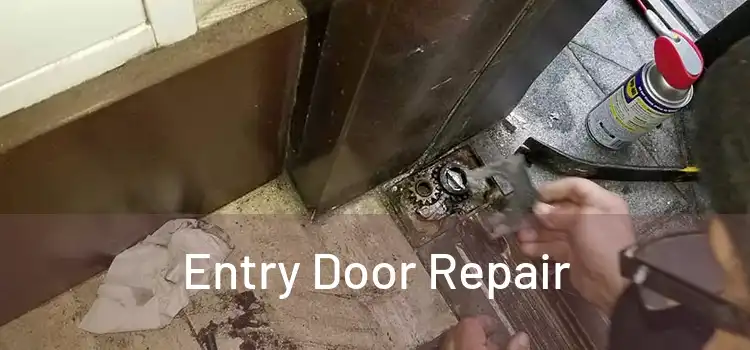 Entry Door Repair