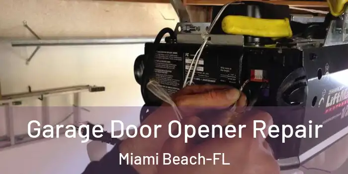  Garage Door Opener Repair Miami Beach-FL