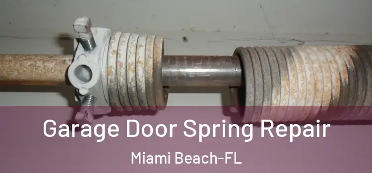Garage Door Spring Repair Miami Beach-FL